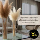10 Capim Dos Pampas Glass Boho Chic