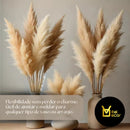 10 Capim Dos Pampas Glass Boho Chic