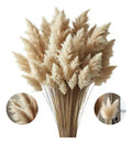 10 Capim Dos Pampas Glass Boho Chic