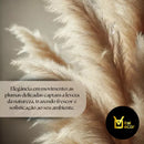10 Capim Dos Pampas Glass Boho Chic
