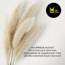 10 Capim Dos Pampas Glass Boho Chic