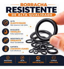 Kit O-ring 225 Peças 18 Medidas Anéis Vedação Borracha Nitrílica Nbr Para Hidráulica Mecânica Automotiva Torneiras Compressores Bombas Vedação Líquidos E Gases Com Caixa Organizadora Fgcom