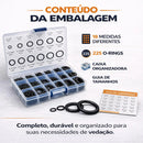 Kit O-ring 225 Peças 18 Medidas Anéis Vedação Borracha Nitrílica Nbr Para Hidráulica Mecânica Automotiva Torneiras Compressores Bombas Vedação Líquidos E Gases Com Caixa Organizadora Fgcom