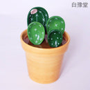 Creative cactus ceramic measuring spoon baking scale measuring spoon cute home decoration decoration ceramic salt sugar small spoon