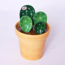 Creative cactus ceramic measuring spoon baking scale measuring spoon cute home decoration decoration ceramic salt sugar small spoon