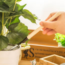 Three-piece set of gardening tools, mini garden tools, multi-functional shovel, rake, shovel, household plant loose soil shovel wholesale
